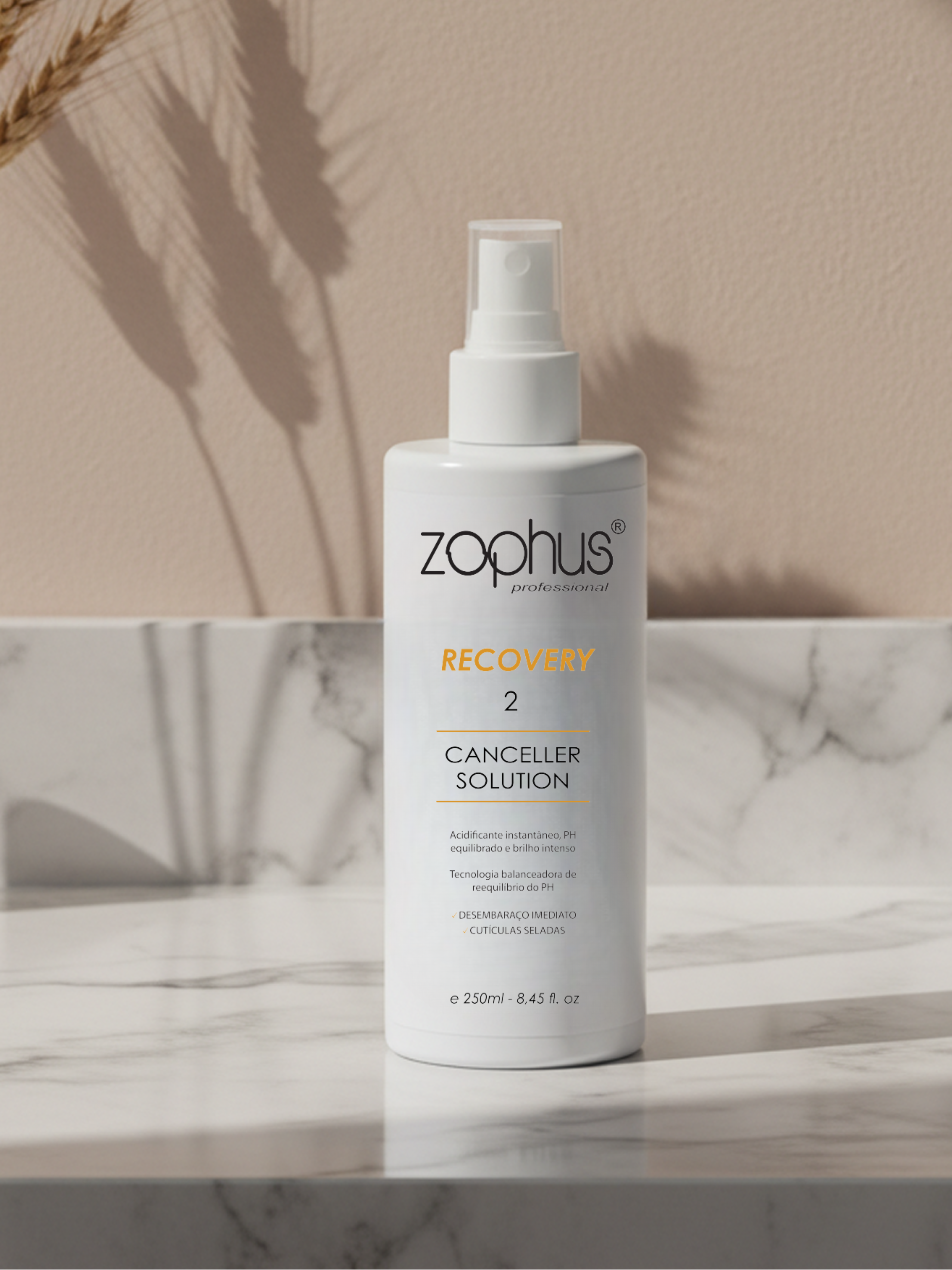 Step 02 - Canceller Solution
